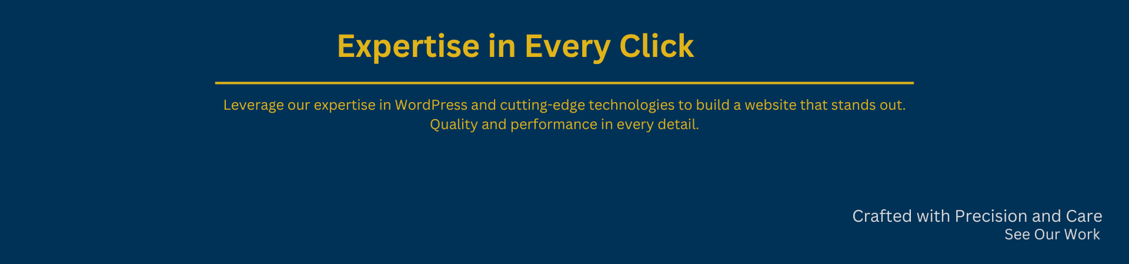 Expertise in Every Click (1)